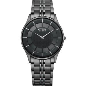 Citizen Collection AR3017-58E